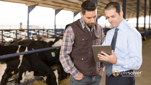 Farmer and financial adviser looking at tablet